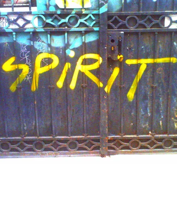"b. Spirit, agnès b.'s soul"